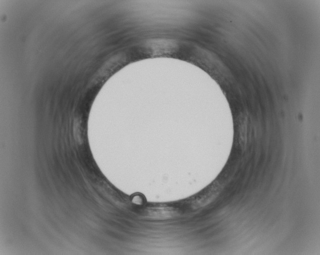 X0000064730316200603131300