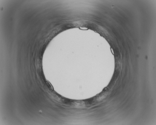 X0000064730317200603131300