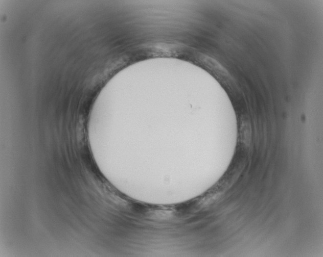 X0000064730318200603131300