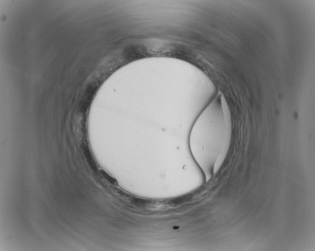 X0000064730319200603131300