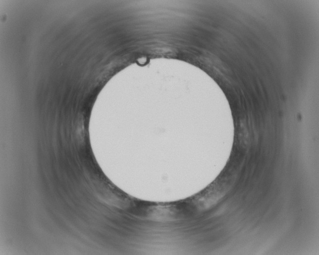 X0000064730320200603131300