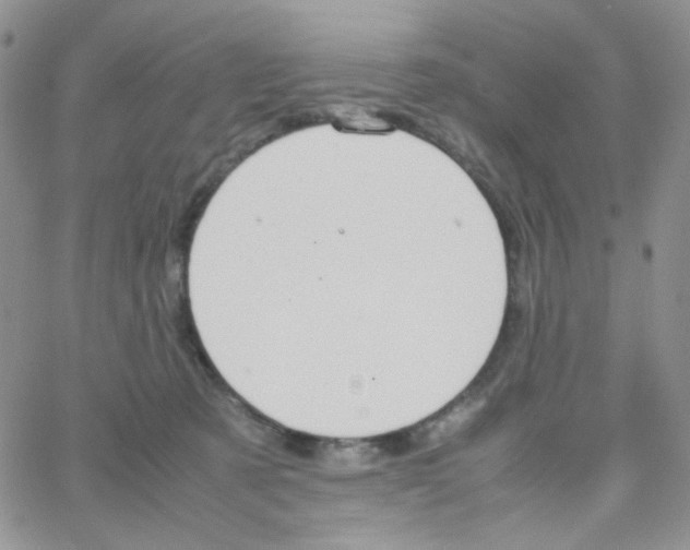 X0000064730321200603131300