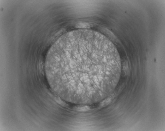 X0000064730322200603131300