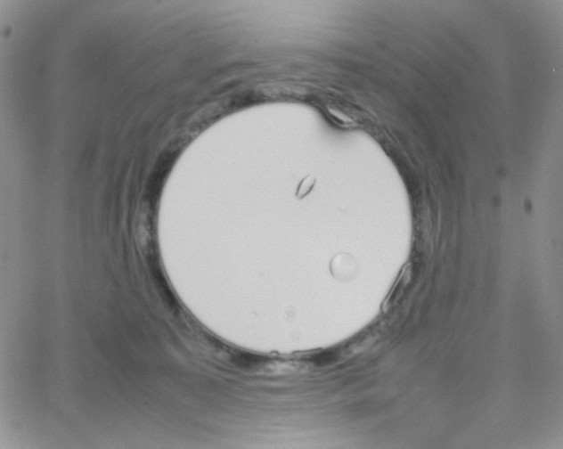 X0000064730323200603131300