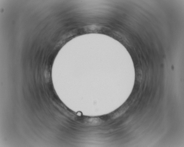 X0000064730324200603131259