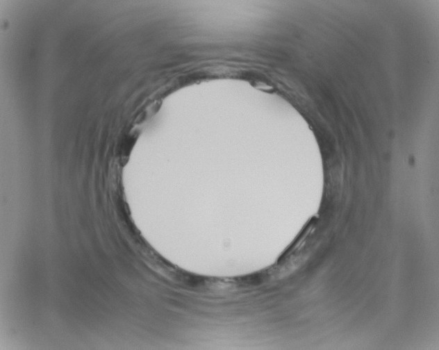 X0000064730325200603131259