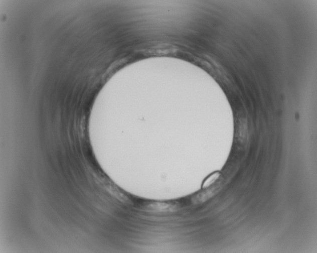 X0000064730326200603131259