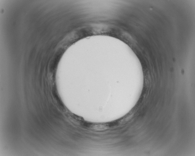 X0000064730327200603131259