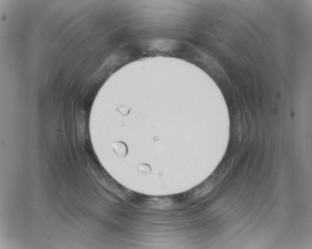 X0000064730328200603131259