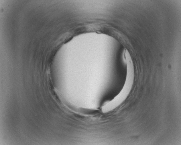 X0000064730329200603131259