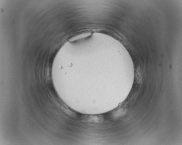 X0000064730330200603131259