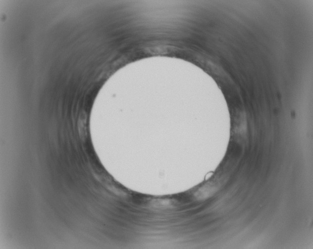 X0000064730332200603131259