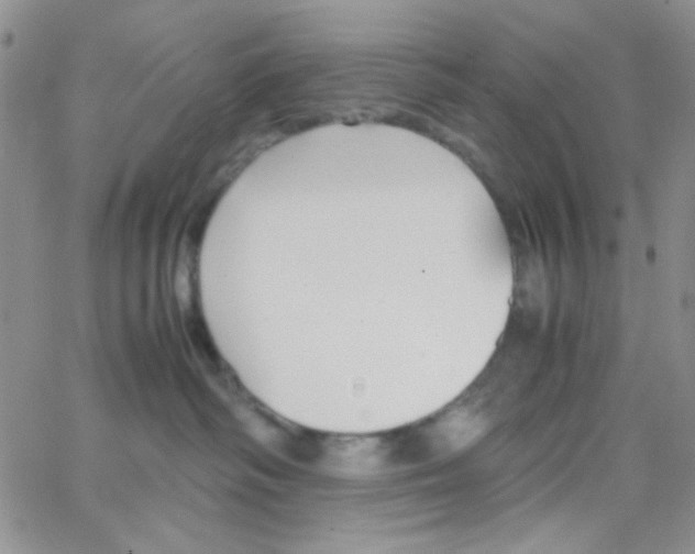 X0000064730334200603131259