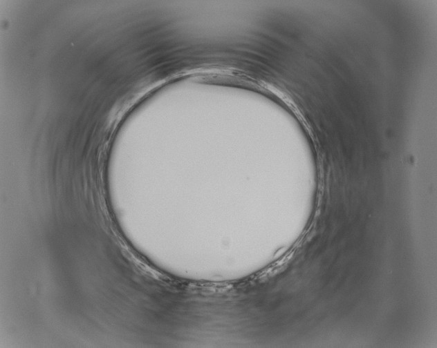 X0000064730337200603131259