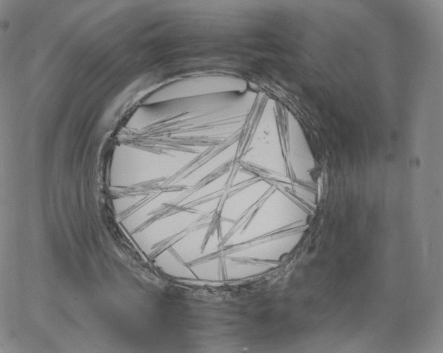 X0000064730339200603131259