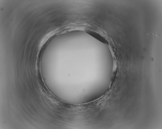 X0000064730340200603131259