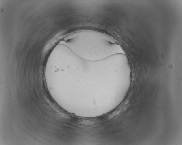 X0000064730341200603131259