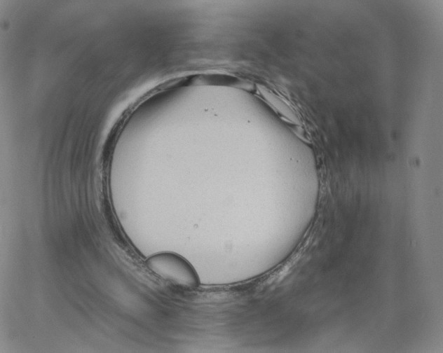 X0000064730342200603131259