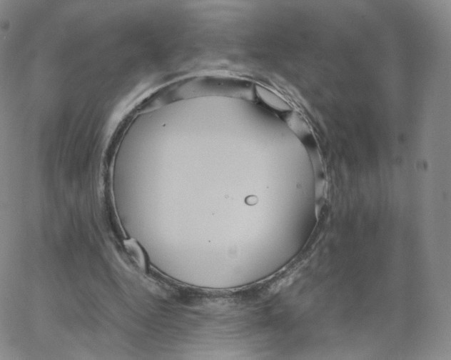 X0000064730344200603131259