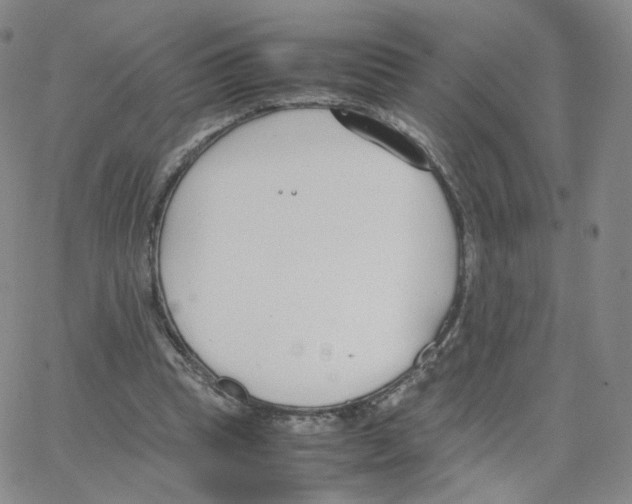 X0000064730345200603131259