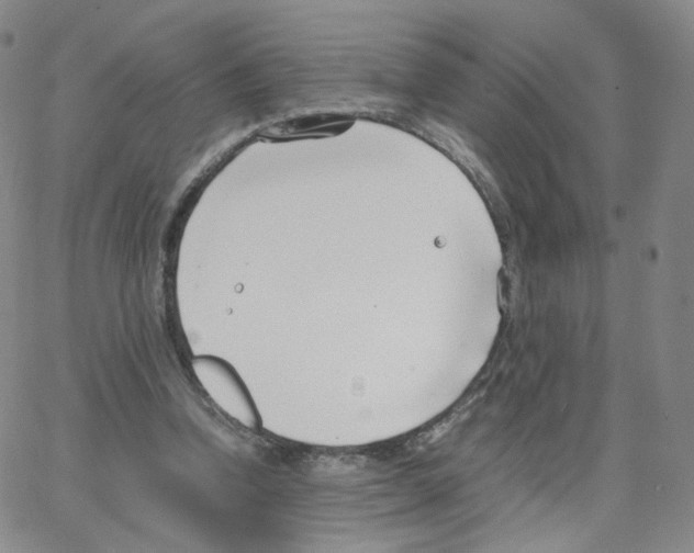 X0000064730346200603131259