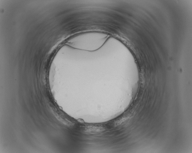 X0000064730347200603131259