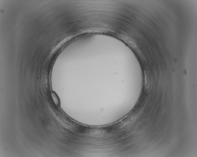 X0000064730348200603131259