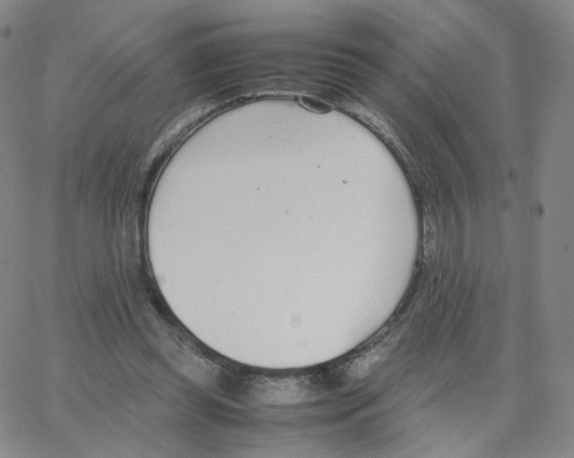 X0000064730349200603131259