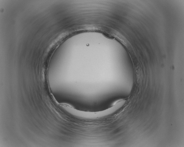 X0000064730350200603131259