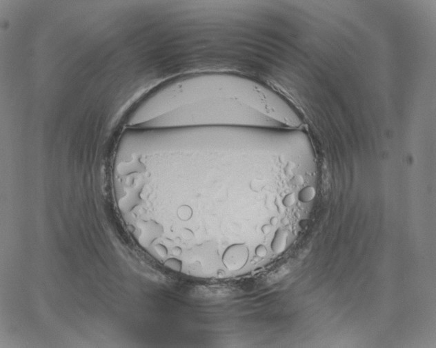 X0000064730351200603131259