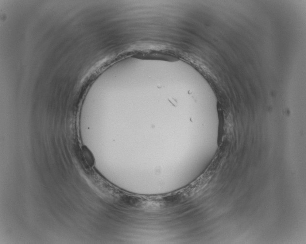 X0000064730352200603131259