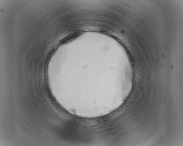 X0000064730353200603131259