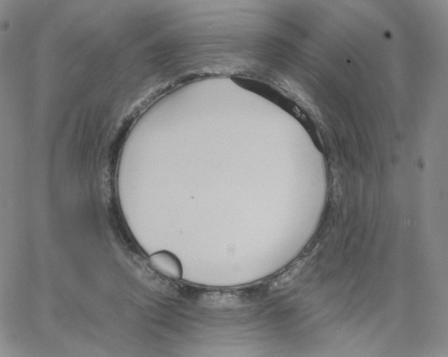 X0000064730354200603131259