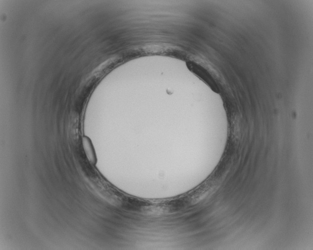 X0000064730356200603131259