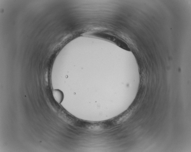 X0000064730358200603131259