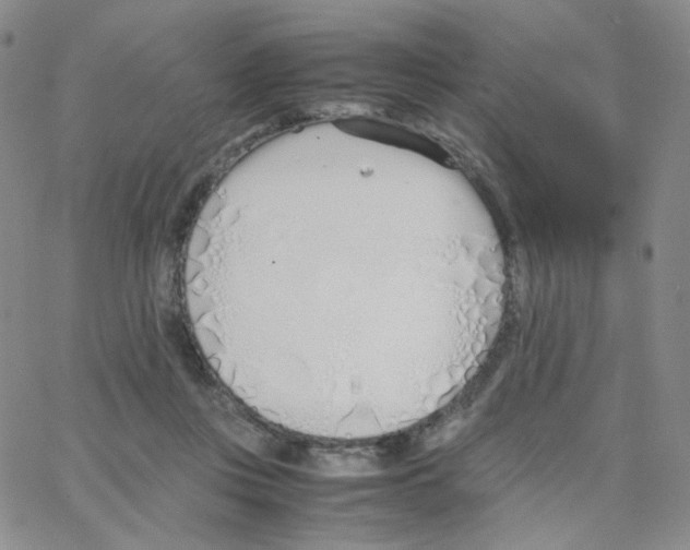 X0000064730359200603131259