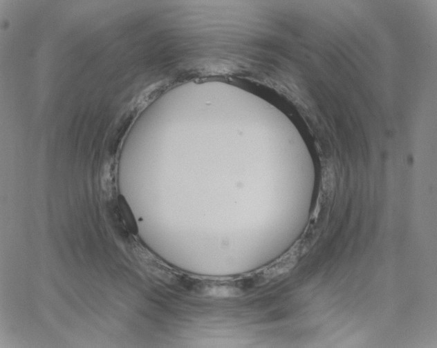 X0000064730360200603131259