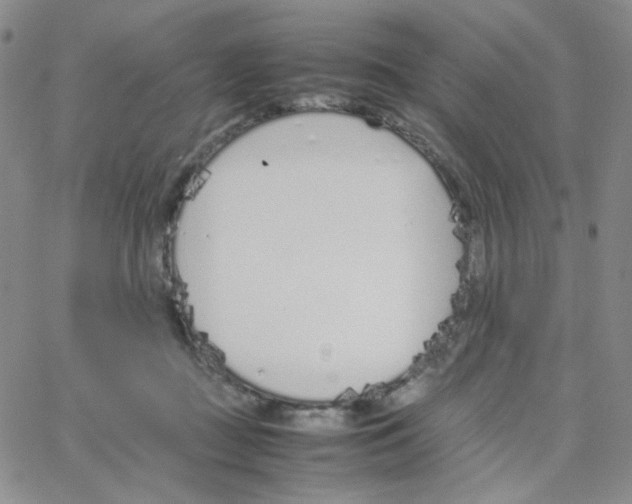 X0000064730363200603131259