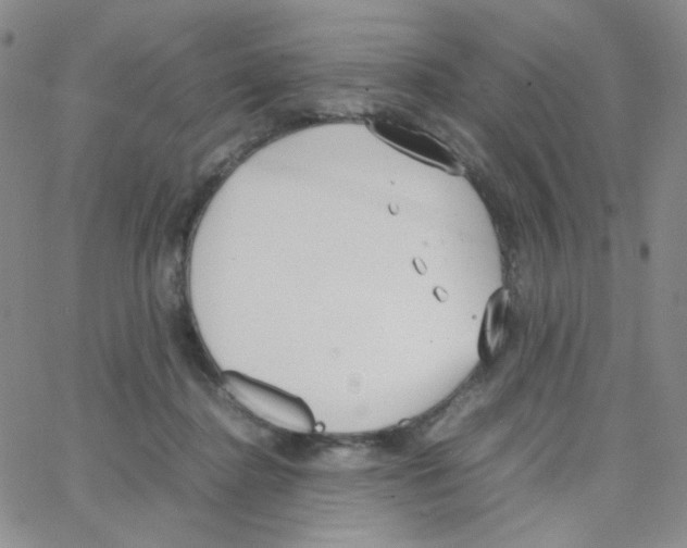 X0000064730364200603131259