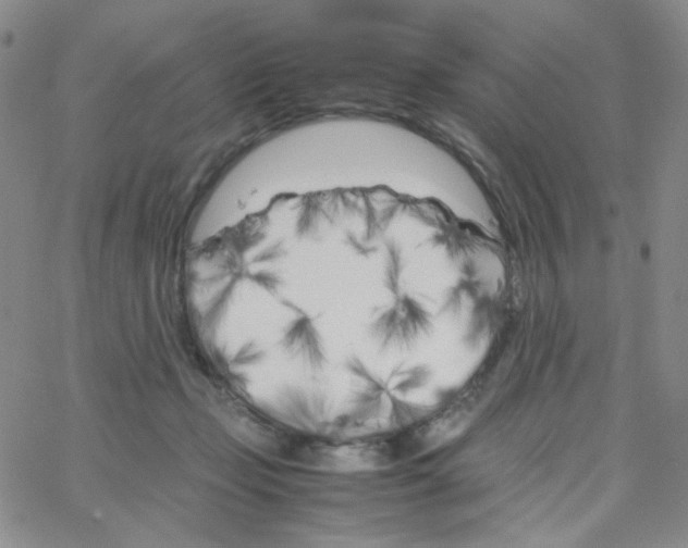 X0000064730365200603131259