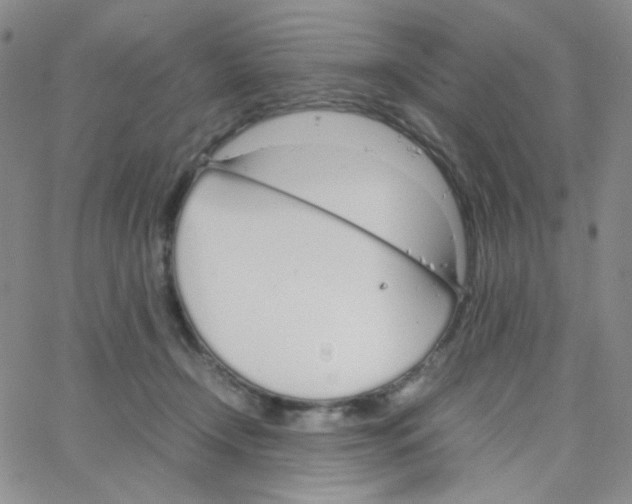 X0000064730366200603131259