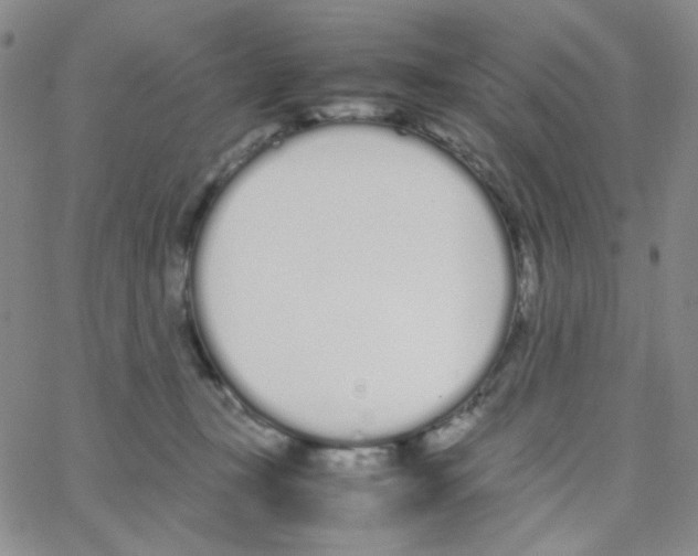 X0000064730367200603131259