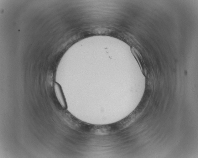 X0000064730368200603131259