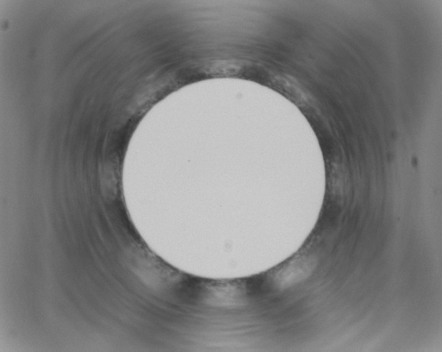 X0000064730370200603131259