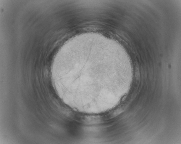 X0000064730371200603131259