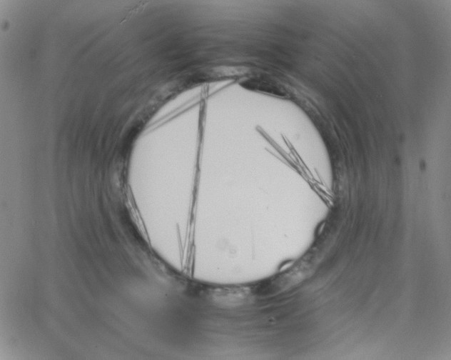 X0000064730373200603131259