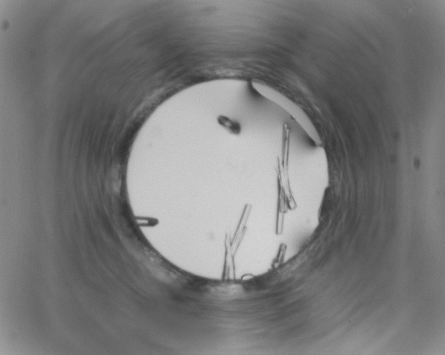 X0000064730374200603131259