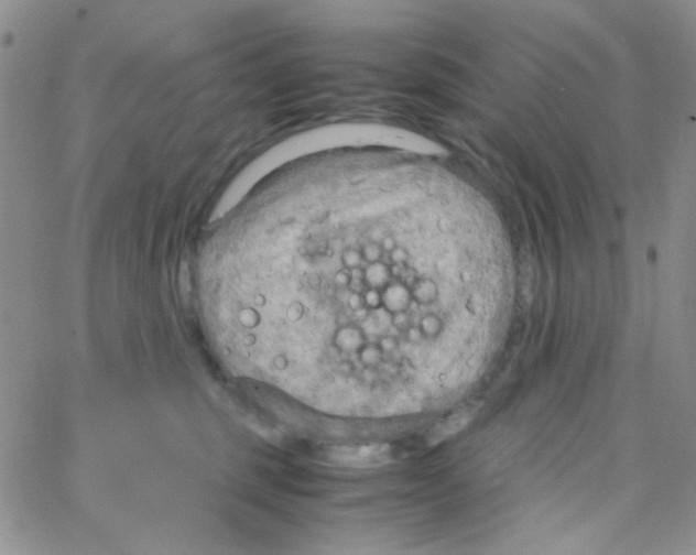 X0000064730375200603131259