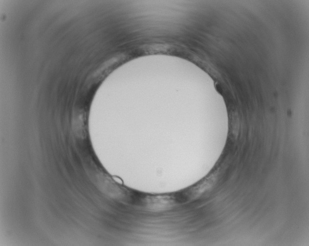 X0000064730378200603131259