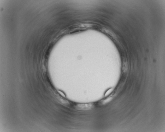 X0000064730381200603131259